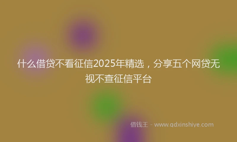 什么借贷不看征信2025年精选，分享五个网贷无视不查征信平台