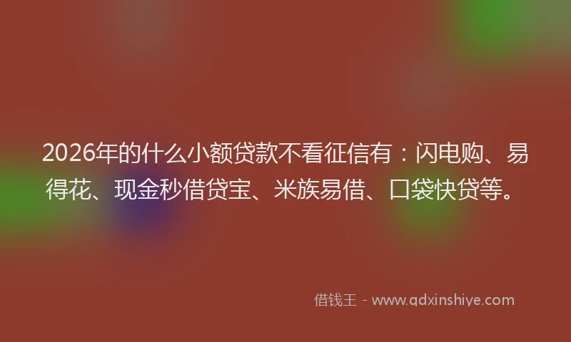 2026年的什么小额贷款不看征信有:闪电购、易得花、现金秒借贷宝、米族易借、口袋快贷等。