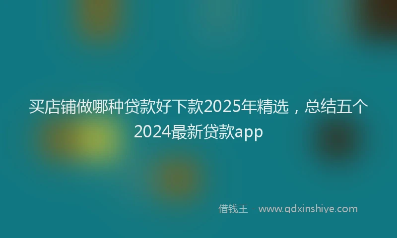 买店铺做哪种贷款好下款2025年精选，总结五个2024最新贷款app
