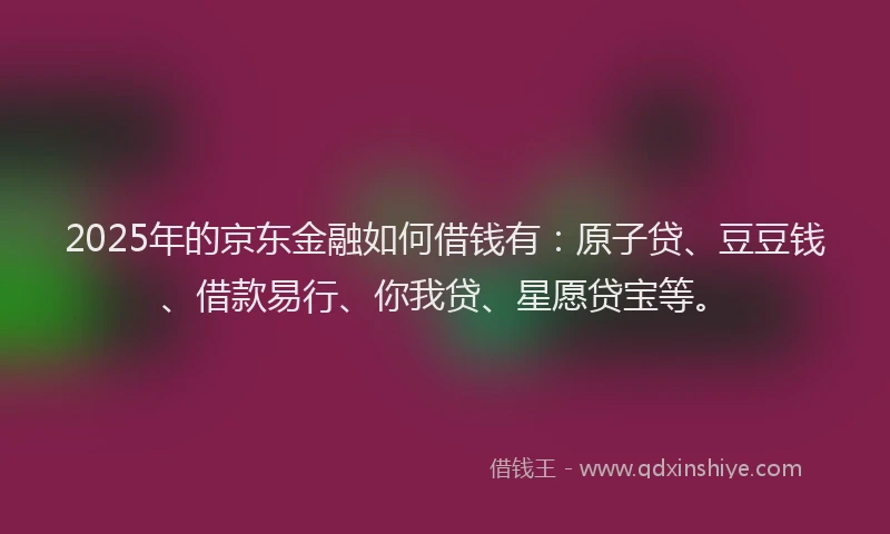 2025年的京东金融如何借钱有：原子贷、豆豆钱、借款易行、你我贷、星愿贷宝等。