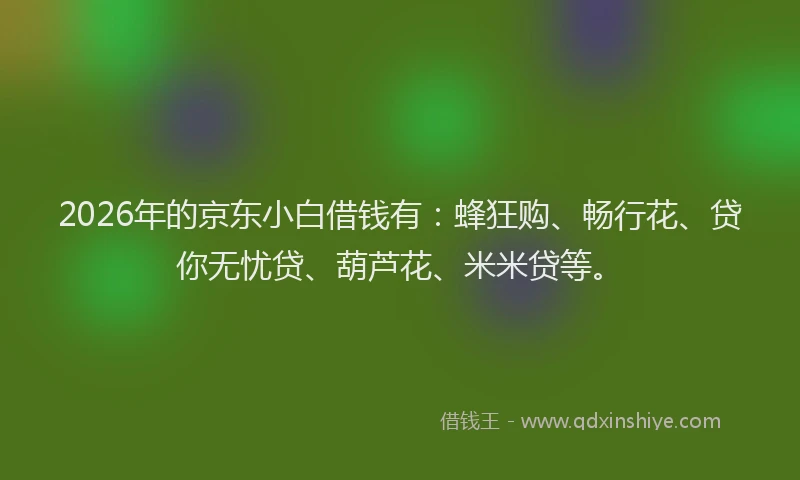 2026年的京东小白借钱有:蜂狂购、畅行花、贷你无忧贷、葫芦花、米米贷等。