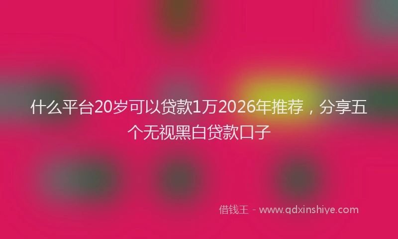什么平台20岁可以贷款1万2026年推荐，分享五个无视黑白贷款口子