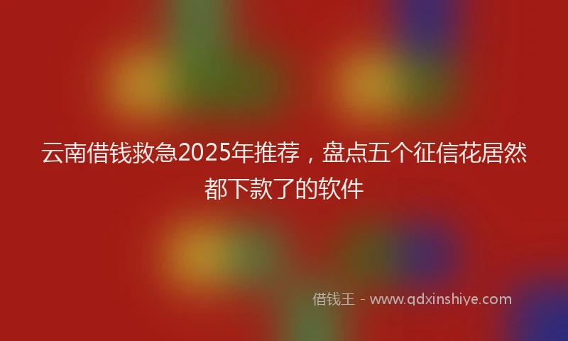 云南借钱救急2025年推荐，盘点五个征信花居然都下款了的软件