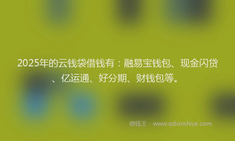 2025年的云钱袋借钱有：融易宝钱包、现金闪贷、亿运通、好分期、财钱包等。