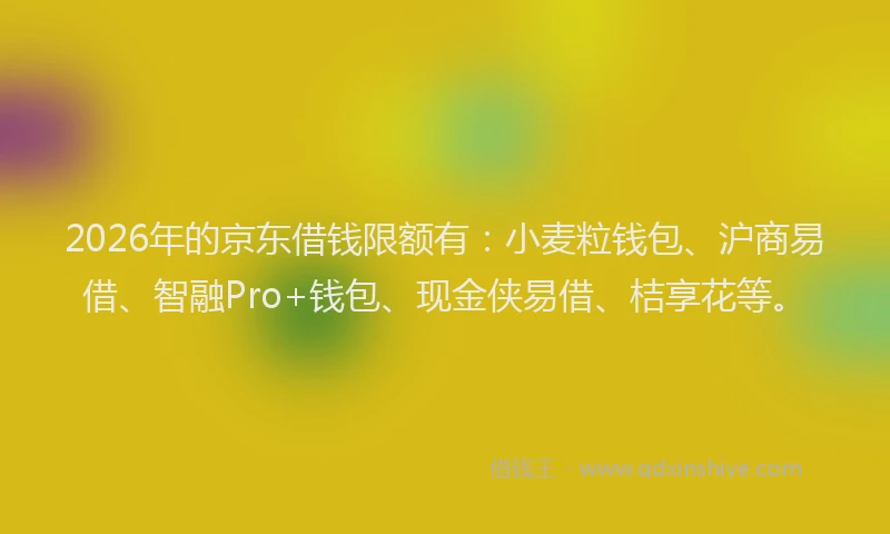 2026年的京东借钱限额有：小麦粒钱包、沪商易借、智融Pro+钱包、现金侠易借、桔享花等。
