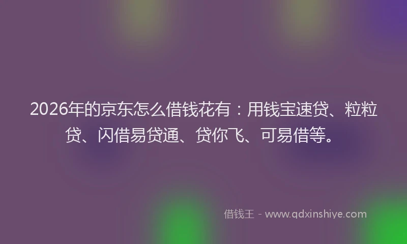 2026年的京东怎么借钱花有：用钱宝速贷、粒粒贷、闪借易贷通、贷你飞、可易借等。