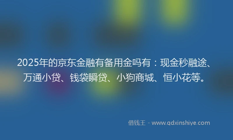 2025年的京东金融有备用金吗有:现金秒融途、万通小贷、钱袋瞬贷、小狗商城、恒小花等。