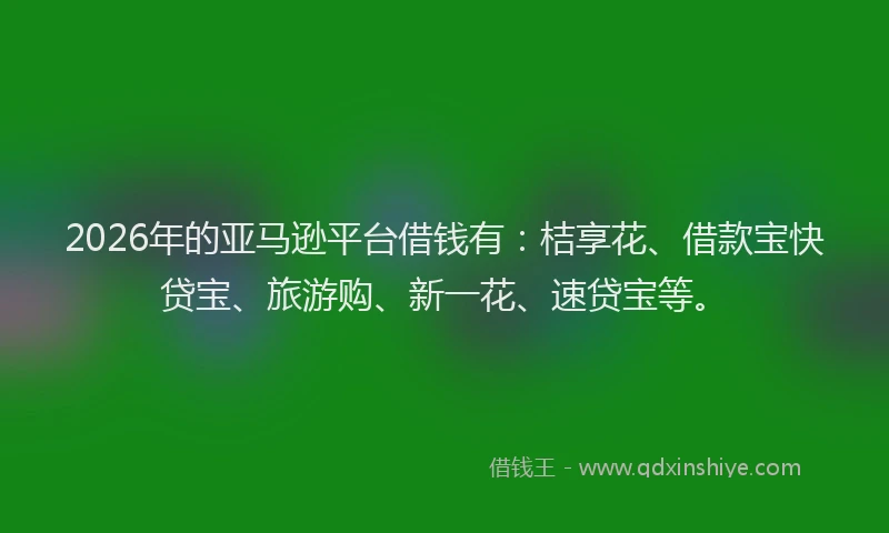 2026年的亚马逊平台借钱有:桔享花、借款宝快贷宝、旅游购、新一花、速贷宝等。