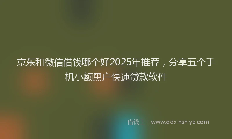 京东和微信借钱哪个好2025年推荐，分享五个手机小额黑户快速贷款软件