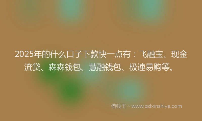 2025年的什么口子下款快一点有：飞融宝、现金流贷、森森钱包、慧融钱包、极速易购等。