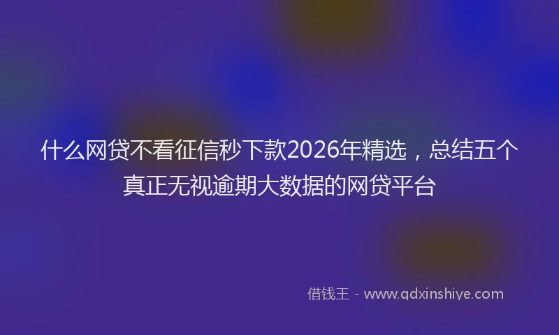 什么网贷不看征信秒下款2026年精选，总结五个真正无视逾期大数据的网贷平台