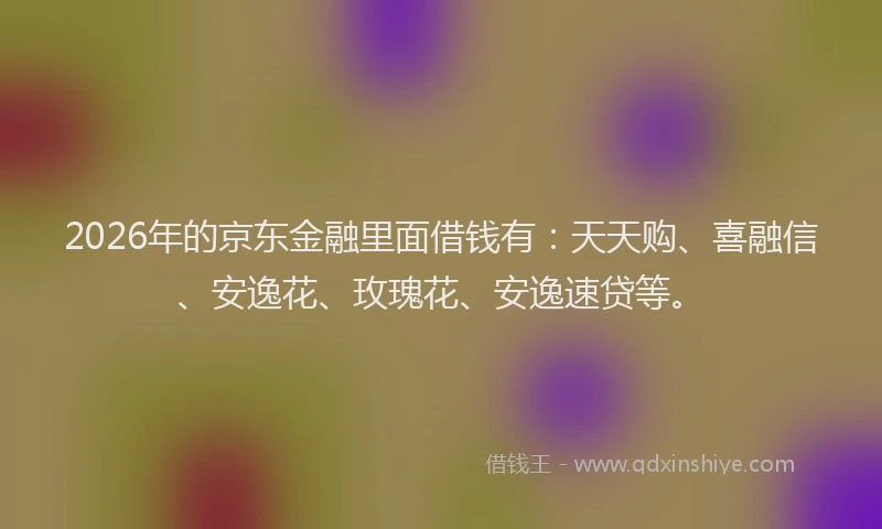 2026年的京东金融里面借钱有：天天购、喜融信、安逸花、玫瑰花、安逸速贷等。