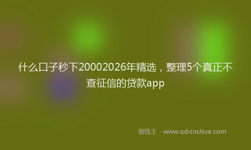什么口子秒下20002026年精选，整理5个真正不查征信的贷款app