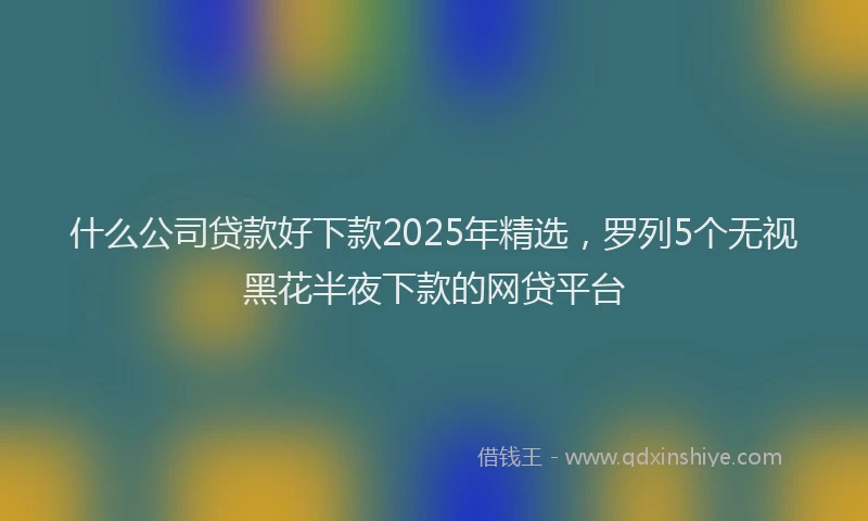 什么公司贷款好下款2025年精选,罗列5个无视黑花半夜下款的网贷平台