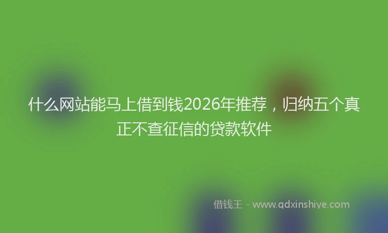 什么网站能马上借到钱2026年推荐，归纳五个真正不查征信的贷款软件