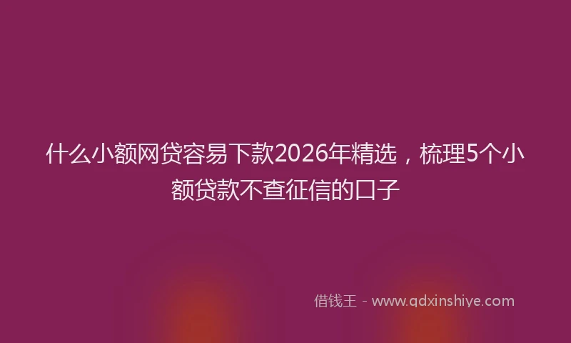 什么小额网贷容易下款2026年精选,梳理5个小额贷款不查征信的口子