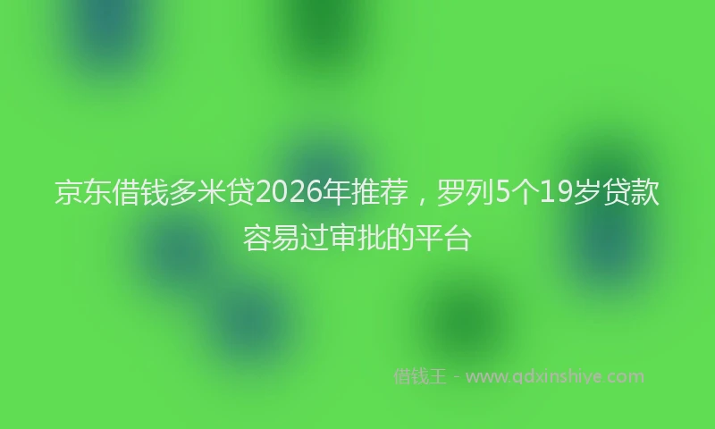 京东借钱多米贷2026年推荐，罗列5个19岁贷款容易过审批的平台