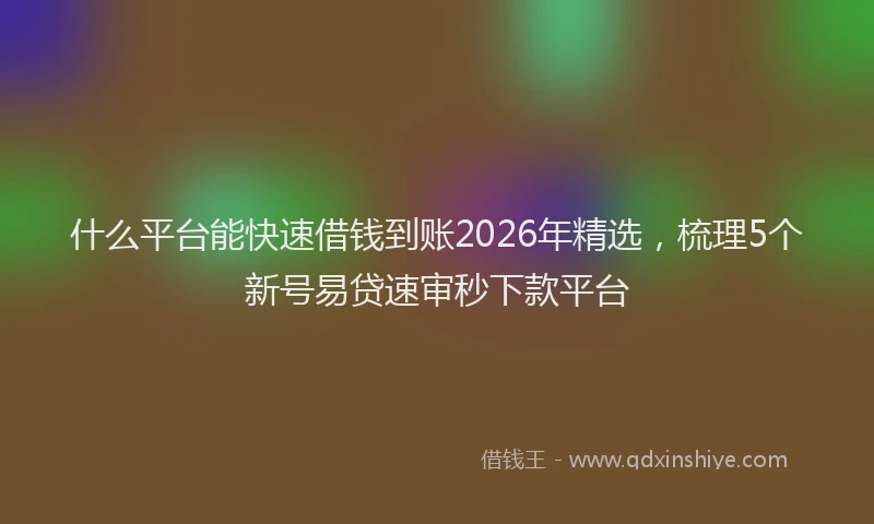 什么平台能快速借钱到账2026年精选，梳理5个新号易贷速审秒下款平台