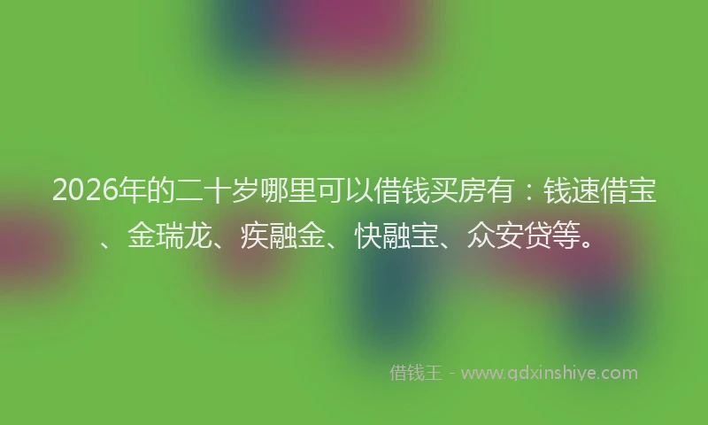 2026年的二十岁哪里可以借钱买房有：钱速借宝、金瑞龙、疾融金、快融宝、众安贷等。