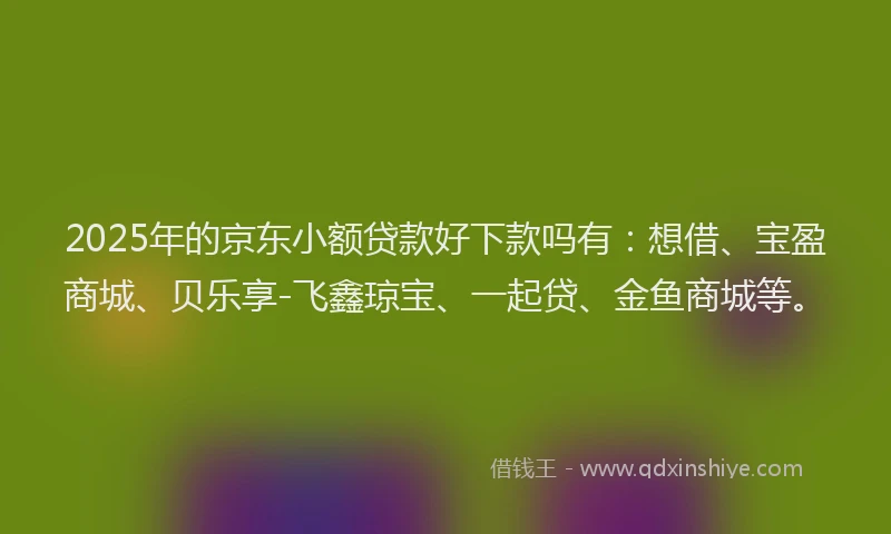2025年的京东小额贷款好下款吗有:想借、宝盈商城、贝乐享-飞鑫琼宝、一起贷、金鱼商城等。