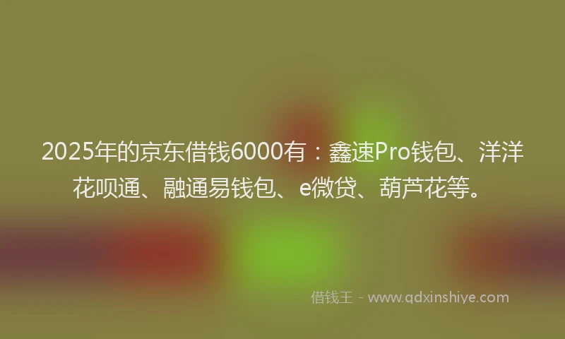 2025年的京东借钱6000有：鑫速Pro钱包、洋洋花呗通、融通易钱包、e微贷、葫芦花等。