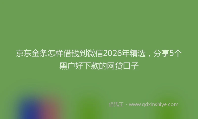 京东金条怎样借钱到微信2026年精选，分享5个黑户好下款的网贷口子