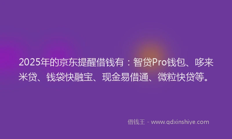 2025年的京东提醒借钱有：智贷Pro钱包、哆来米贷、钱袋快融宝、现金易借通、微粒快贷等。