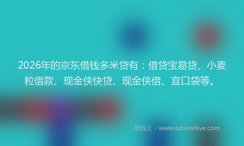 2026年的京东借钱多米贷有：借贷宝易贷、小麦粒借款、现金侠快贷、现金侠借、宜口袋等。