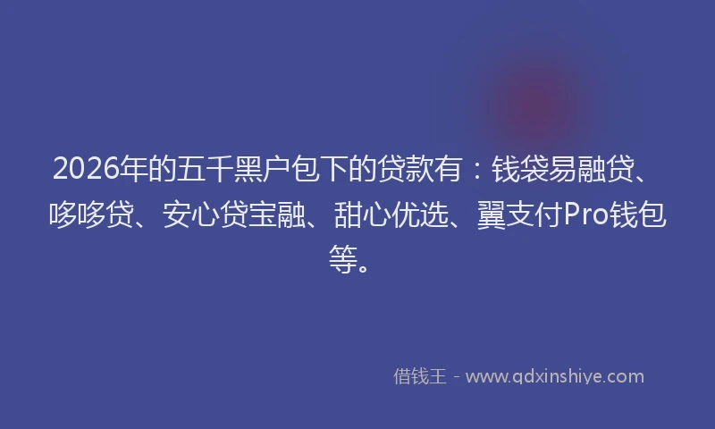 2026年的五千黑户包下的贷款有：钱袋易融贷、哆哆贷、安心贷宝融、甜心优选、翼支付Pro钱包等。