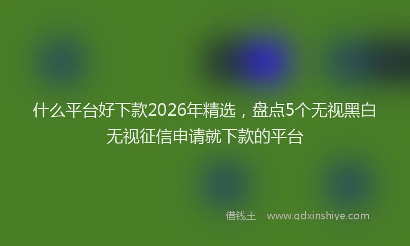 什么平台好下款2026年精选，盘点5个无视黑白无视征信申请就下款的平台
