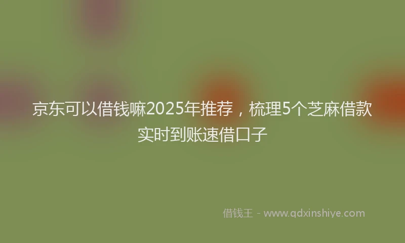 京东可以借钱嘛2025年推荐，梳理5个芝麻借款实时到账速借口子