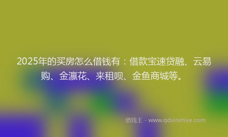 2025年的买房怎么借钱有：借款宝速贷融、云易购、金瀛花、来租呗、金鱼商城等。