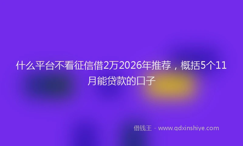 什么平台不看征信借2万2026年推荐，概括5个11月能贷款的口子