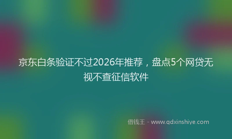 京东白条验证不过2026年推荐,盘点5个网贷无视不查征信软件
