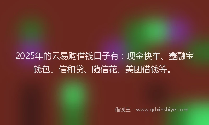 2025年的云易购借钱口子有:现金快车、鑫融宝钱包、信和贷、随信花、美团借钱等。