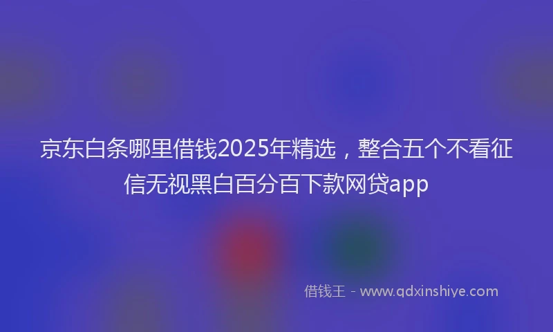 京东白条哪里借钱2025年精选，整合五个不看征信无视黑白百分百下款网贷app