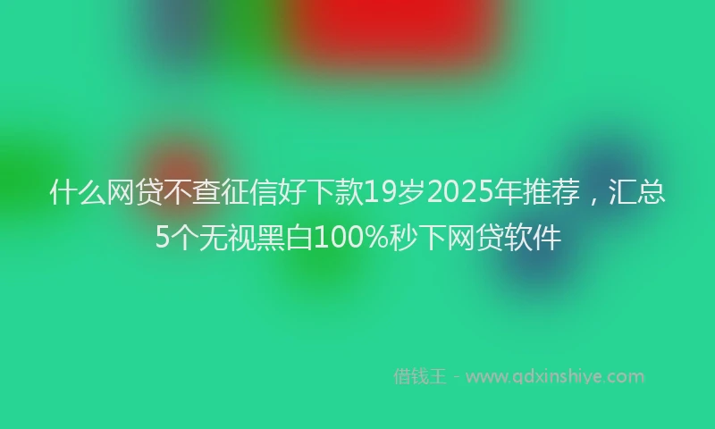 什么网贷不查征信好下款19岁2025年推荐，汇总5个无视黑白100%秒下网贷软件