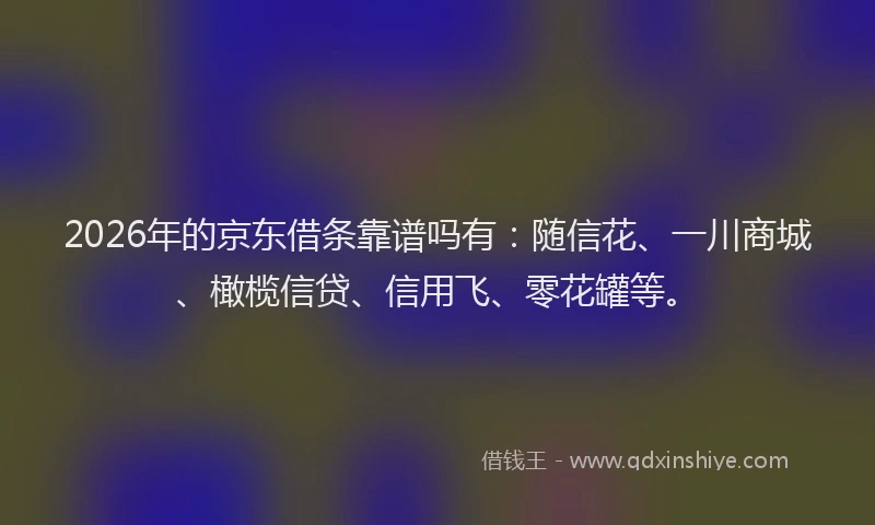 2026年的京东借条靠谱吗有：随信花、一川商城、橄榄信贷、信用飞、零花罐等。
