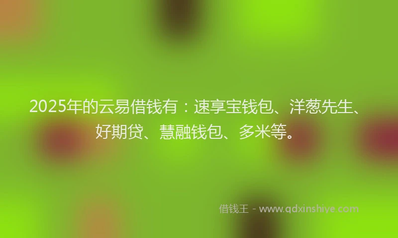 2025年的云易借钱有：速享宝钱包、洋葱先生、好期贷、慧融钱包、多米等。