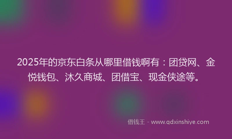 2025年的京东白条从哪里借钱啊有:团贷网、金悦钱包、沐久商城、团借宝、现金侠途等。