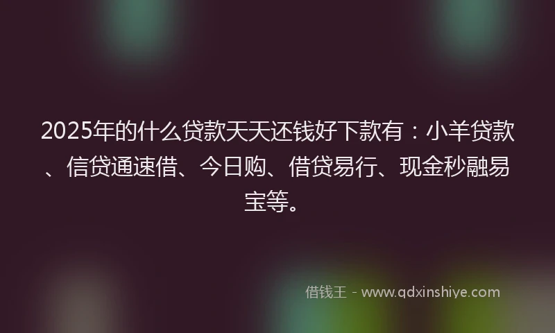 2025年的什么贷款天天还钱好下款有：小羊贷款、信贷通速借、今日购、借贷易行、现金秒融易宝等。