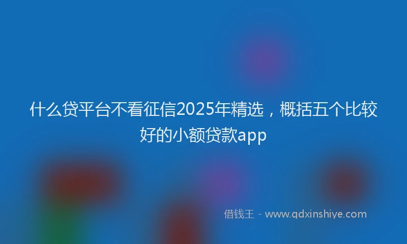 什么贷平台不看征信2025年精选，概括五个比较好的小额贷款app
