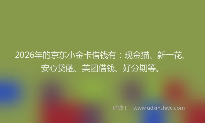 2026年的京东小金卡借钱有:现金猫、新一花、安心贷融、美团借钱、好分期等。
