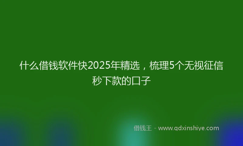 什么借钱软件快2025年精选，梳理5个无视征信秒下款的口子