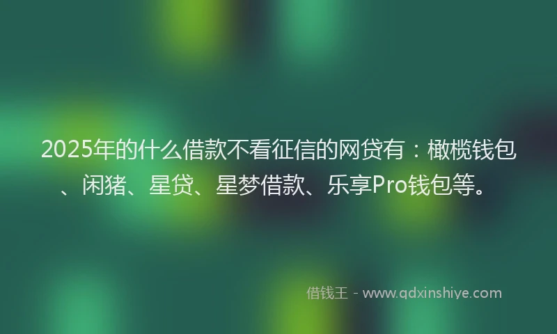 2025年的什么借款不看征信的网贷有：橄榄钱包、闲猪、星贷、星梦借款、乐享Pro钱包等。