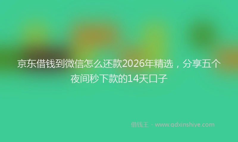 京东借钱到微信怎么还款2026年精选，分享五个夜间秒下款的14天口子