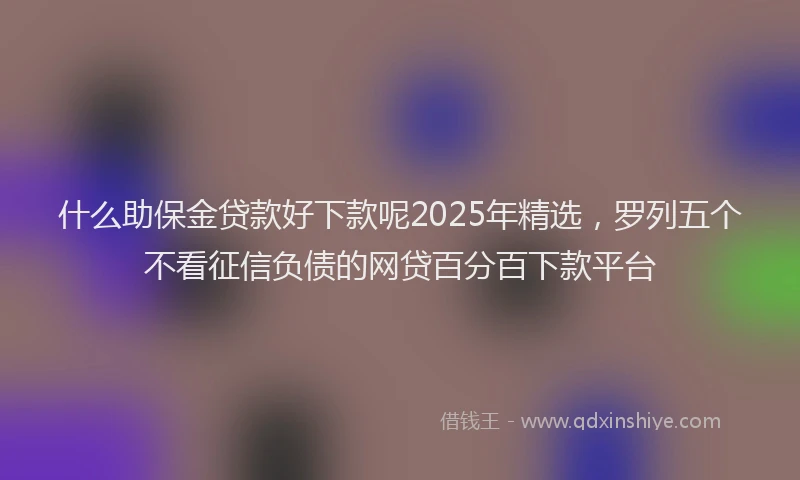 什么助保金贷款好下款呢2025年精选，罗列五个不看征信负债的网贷百分百下款平台
