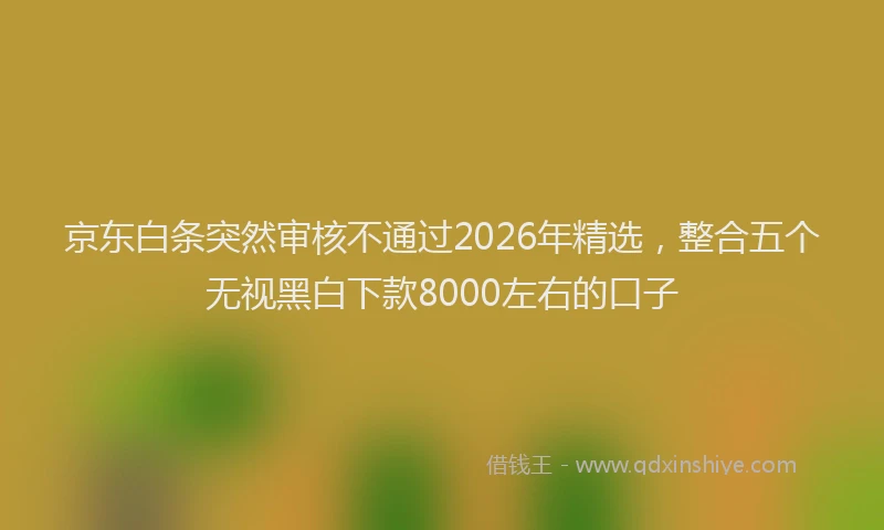 京东白条突然审核不通过2026年精选，整合五个无视黑白下款8000左右的口子