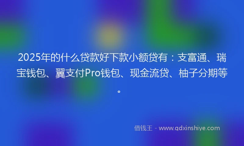 2025年的什么贷款好下款小额贷有:支富通、瑞宝钱包、翼支付Pro钱包、现金流贷、柚子分期等。