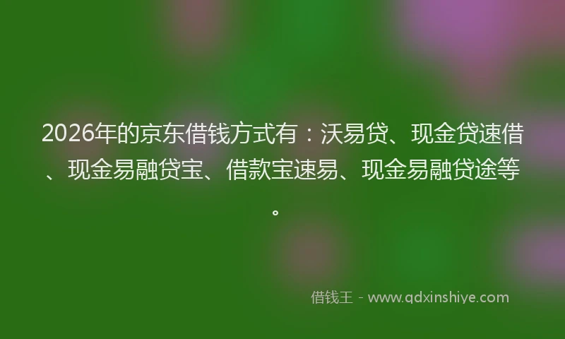 2026年的京东借钱方式有：沃易贷、现金贷速借、现金易融贷宝、借款宝速易、现金易融贷途等。